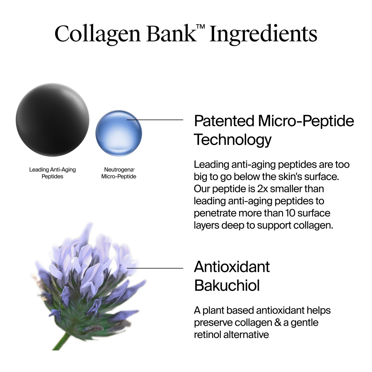 Neutrogena® Collagen Bank Night Moisturizer, Normal to Combination Skin 2. Fl. Oz - US 1294